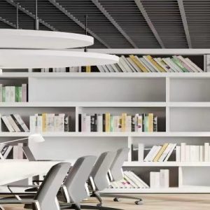 Suspended Ceiling Cloud Panel
