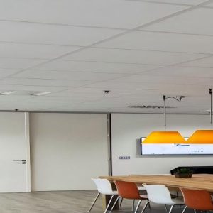 Rock Wool Ceiling Panel